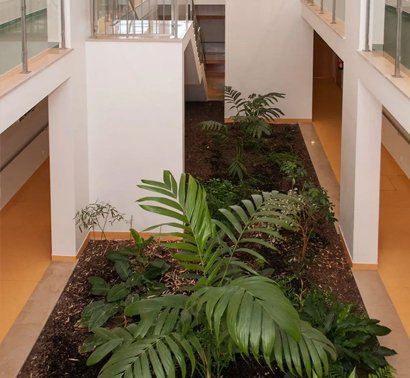 Jardim interior com plantas tropicais exuberantes numa residência sénior em Sintra, com corredores amplos e luminosos